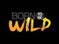 Born To Be Wild January 19 2025