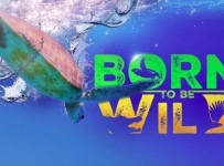 Born To Be Wild October 25 2026